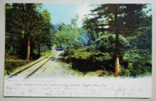 eagle-mere-pa-1909-railroad-postcard